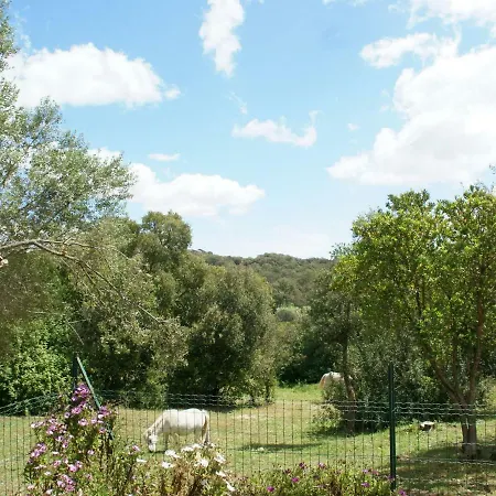 Cosy Holiday With Swimming Pool In Stunning Location Near The Beaches! *